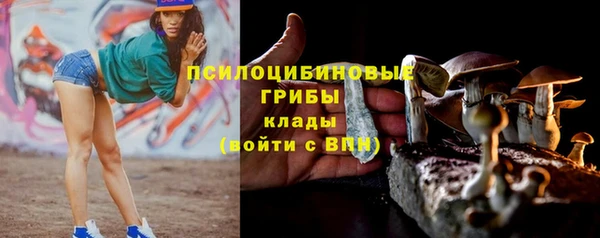 MESCALINE Пересвет